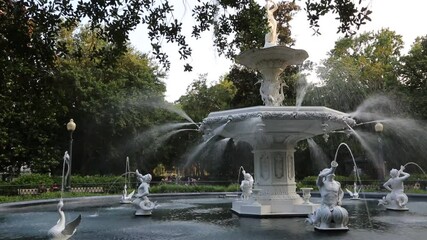 Wall Mural - Forsyth Fountain from under oak tree - Savannah, Georgia