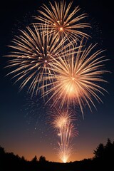 Wall Mural - fireworks are lit up in the sky above a lake at night