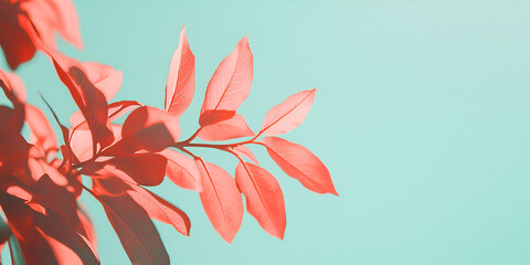 Poster - coral dream: a vibrant coral branch against a serene aqua backdrop. the image evokes feelings of tra