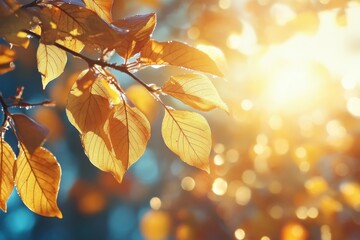 Canvas Print - golden autumn leaves backlit by sun. perfect for fall themes, nature, and seasonal designs.