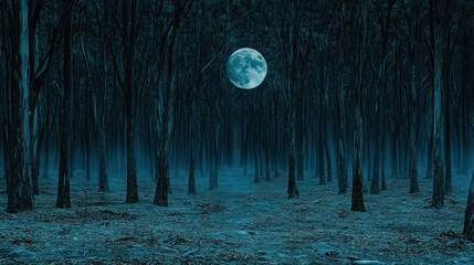 Wall Mural - Full moon over misty forest at night.