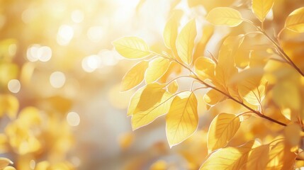 Canvas Print - golden autumn leaves backlit by sun. perfect for fall themes, nature, or seasonal designs.