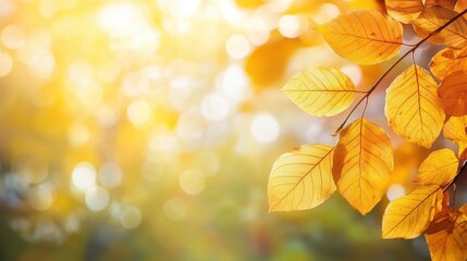 Canvas Print - golden autumn leaves on a branch, bokeh background. perfect for fall themes, nature, or seasonal des