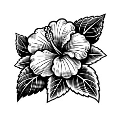 Wall Mural - hibiscus flower engraving black and white outline
