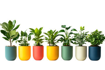 Wall Mural - Plants in colorful pots, brightening up living spaces with vibrant hues, isolated on transparent and white background.PNG image	