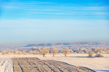 Wall Mural - Wintry rural landscape view with a plowed field a cold sunny winter day