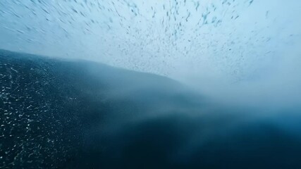 Wall Mural - Cool underwater view showcasing rippling surfaces and dynamic water textures.