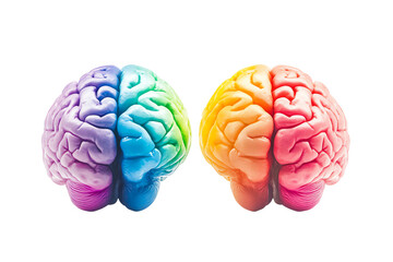Poster - A vivid illustration of two human brains, showcasing vibrant colors in a stunning visual representation of cognitive diversity and creativity.