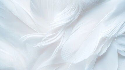 Poster - soft white feathers arranged gracefully on a delicate surface creating a serene and calming atmosphe