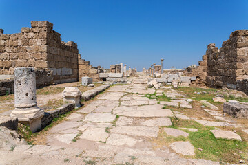 Wall Mural - Ancient stone-paved street with ruins of columns and walls under clear blue sky, remains of Laodicea city. Denizli, Turkey (Turliye)