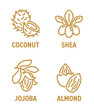© Dmitry Kovalchuk - Essential oils set of icons in bold line - Coconut, Shea, Jojoba, Almond