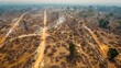 © ULTRAWORKS - Bird’s-eye view of tropical forest depletion illustrating the consequences of deforestation