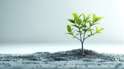 Poster - The tree seedling is growing, investments, isolated on white background.