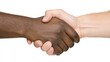 © DriftPixels - Diverse Hands Shaking in Unity Symbolizing Partnership and Cooperation