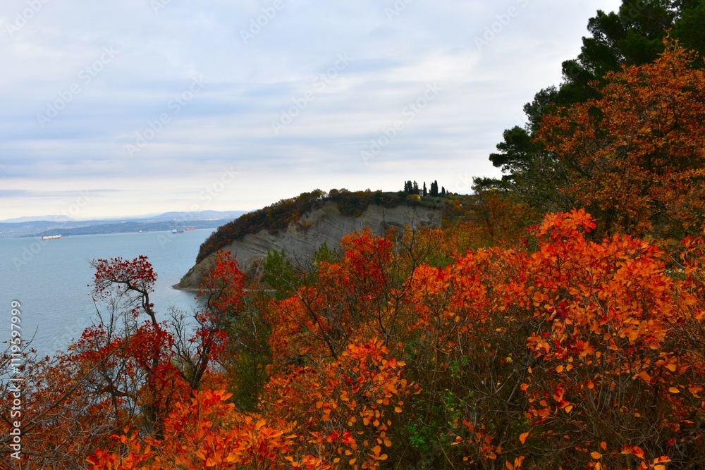 Orange and red smoke tree (Cotinus coggygria) bushes and cliff above ...