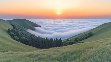 Poster - Sunrise over misty valley, green hills.