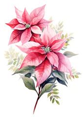 Wall Mural - Watercolor red poinsettia flowers bouquet on white