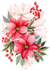 Wall Mural - Illustration of watercolor poinsettia bouquet on white