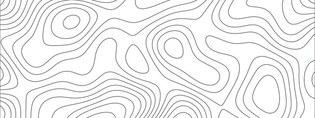 Leinwandbilder - Abstract luxury white modern 3d papercut background. Topography line circle creative topography map circle and wave line. Topography and geography map grid backdrop. 