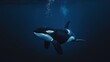 © Gajah - A single orca swimming in the deep blue ocean at night time