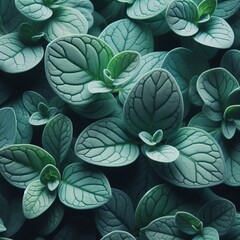 Poster - Mint Green Eucalyptus Leaves A close up of fresh mint green euca