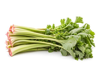 Wall Mural - Heap of fresh rhubarb stalks isolated on white
