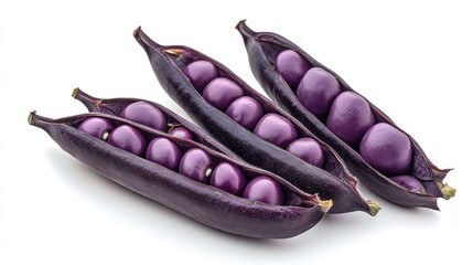 Poster - Purple peas in black pods showcased beautifully against a clean white background highlighting their unique color and texture.