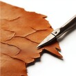 © ธิดาพร สูญราช - Leather crafting tools with brown leather on white background.
