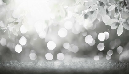 abstract blurred background of the tree white and grey bokeh background among bright sunlight used a