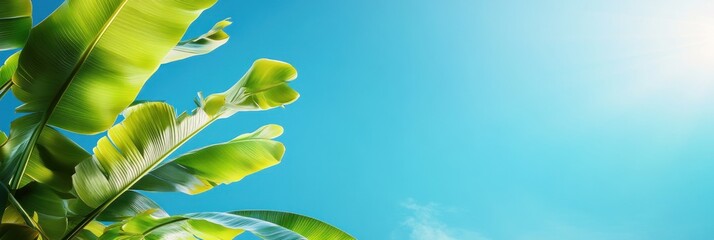 Poster - Lush green leaves against a bright blue sky, evoking a tropical atmosphere.
