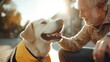 © svastix - An elderly man and his dog enjoying a warm sunset walk, capturing a moment of companionship, love, and joy in an outdoor urban setting with natural sunlight.