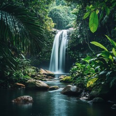 Poster - Beautiful photos - Waterfall flows down the stream in the rainforest