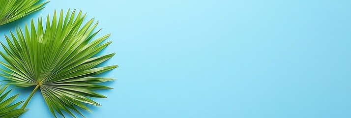 Poster - Lush green palm leaves on a light blue background for a fresh, tropical aesthetic.