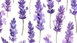 © AlfaSmart - Delicate Lavender Watercolor Pattern