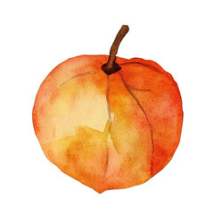 Poster - Orange watercolor illustration isolated transparent background