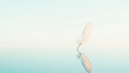 Poster - Soft Minimalist Composition of a Single Feather Floating Gently Above a Calm Surface with Serene Reflection