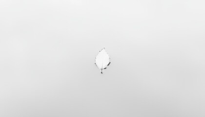 Poster - Minimalist Composition of a Single Leaf Floating in a Serene Light Gray Background