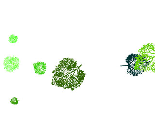 Wall Mural - LSgreen-01.eps