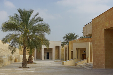 Wall Mural - Saqqara, Eqypt: Palm trees line the path to the modern entrance of the Imhotep Museum, opened in 2006.