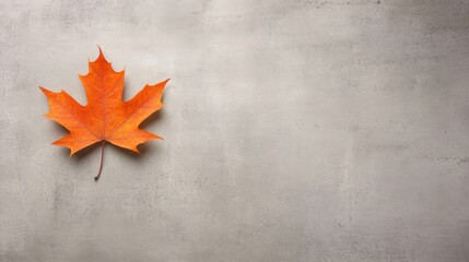 Poster - A striking orange maple leaf lies on a gray concrete surface, highlighting the beauty of autumn. Gentle shadows enhance the texture and composition