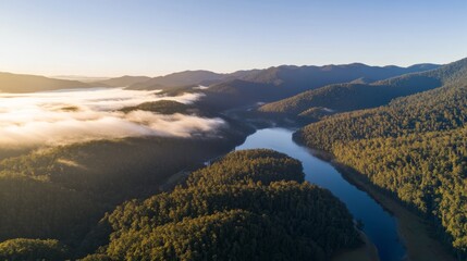 Poster - An expansive coastal rainforest basks in sunlight as it breaks through mist, illuminating lush treetops and revealing a winding river amidst the landscape