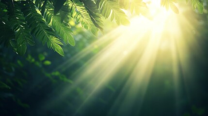Poster - Sunlight streams through rich green palm leaves in a tropical forest, highlighting the untamed beauty and dense foliage of the jungle
