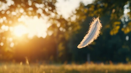 Poster - A delicate white feather floats effortlessly in golden sunlight, surrounded by softly blurred green foliage that enhances its tranquil presence
