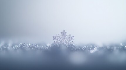 Aufkleber - Captivating close-up of a single snowflake showcases intricate icy patterns, floating serenely against a blurred white backdrop, perfect for text overlays