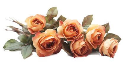 Poster - A charming arrangement of six orange roses with lush green leaves is displayed.