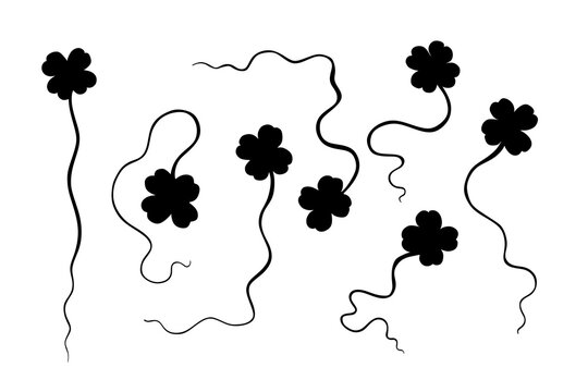 Set clover silhouettes, Vector illustration