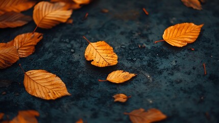 Aufkleber - Autumn Leaves Scattered on Dark Background Capturing Seasonal Change Nature Aesthetic : Generative AI