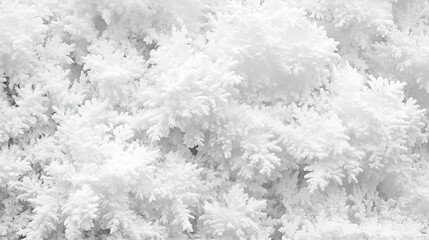 Aufkleber - Frosty White Pine Trees Covered in Thick Snow in Winter Wonderland : Generative AI