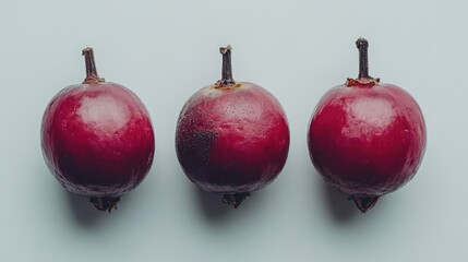 Poster - cranberries arranged in a row on a light background highlighting their vibrant color and texture for