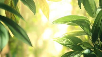 Poster - Lush green and yellow leaves softly illuminated in a blurred background creating a tranquil and serene nature atmosphere.